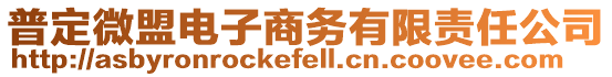普定微盟電子商務有限責任公司