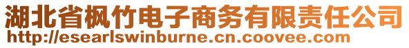湖北省楓竹電子商務(wù)有限責(zé)任公司