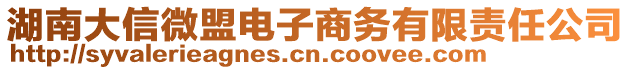 湖南大信微盟電子商務(wù)有限責(zé)任公司