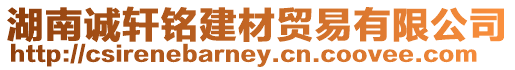 湖南誠軒銘建材貿易有限公司