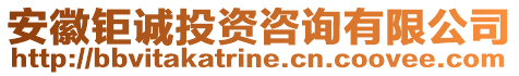 安徽钜诚投资咨询有限公司