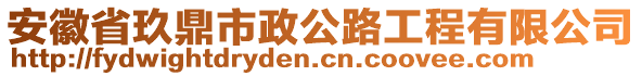 安徽省玖鼎市政公路工程有限公司