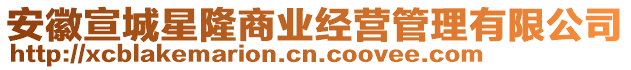 安徽宣城星隆商業(yè)經(jīng)營管理有限公司