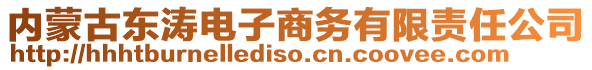 內(nèi)蒙古東濤電子商務(wù)有限責(zé)任公司