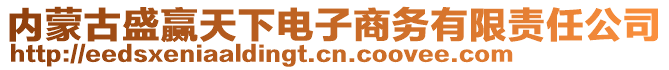 內(nèi)蒙古盛贏天下電子商務(wù)有限責(zé)任公司