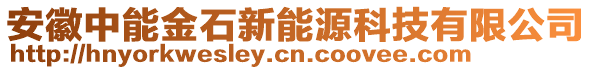 安徽中能金石新能源科技有限公司