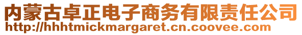內(nèi)蒙古卓正電子商務有限責任公司