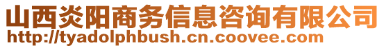 山西炎陽(yáng)商務(wù)信息咨詢有限公司