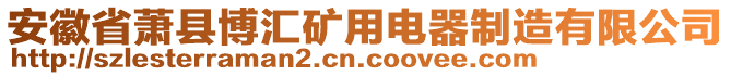安徽省蕭縣博匯礦用電器制造有限公司