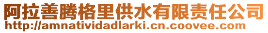 阿拉善騰格里供水有限責任公司