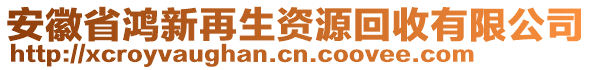 安徽省鴻新再生資源回收有限公司