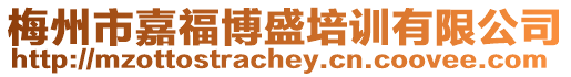 梅州市嘉福博盛培訓有限公司