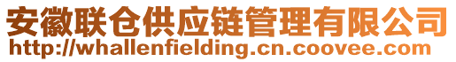 安徽聯(lián)倉供應(yīng)鏈管理有限公司