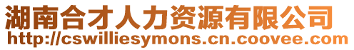 湖南合才人力資源有限公司