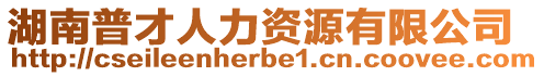湖南普才人力資源有限公司