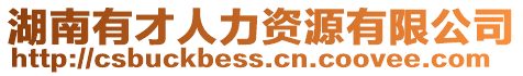 湖南有才人力資源有限公司