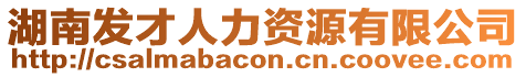 湖南發才人力資源有限公司