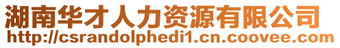 湖南華才人力資源有限公司