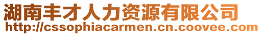 湖南豐才人力資源有限公司