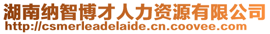 湖南納智博才人力資源有限公司
