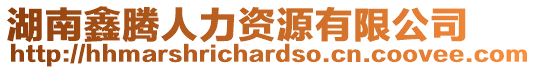 湖南鑫騰人力資源有限公司