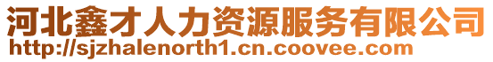 河北鑫才人力資源服務有限公司
