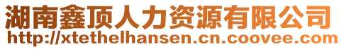 湖南鑫頂人力資源有限公司