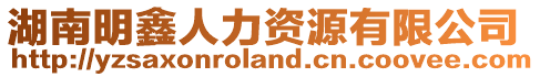 湖南明鑫人力資源有限公司