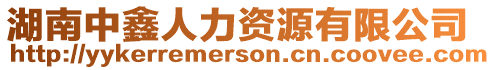 湖南中鑫人力資源有限公司