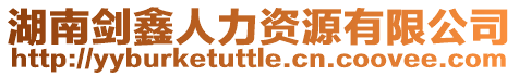 湖南劍鑫人力資源有限公司