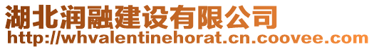 湖北潤融建設有限公司