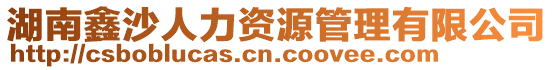 湖南鑫沙人力資源管理有限公司