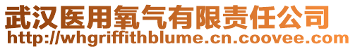 武漢醫(yī)用氧氣有限責(zé)任公司
