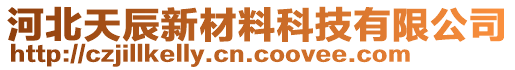 河北天辰新材料科技有限公司