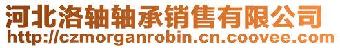河北洛軸軸承銷售有限公司