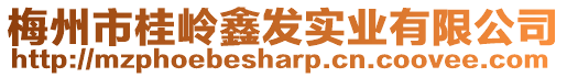 梅州市桂嶺鑫發實業有限公司