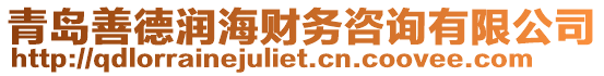 青島善德潤海財務咨詢有限公司