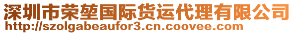 深圳市榮堃國際貨運(yùn)代理有限公司