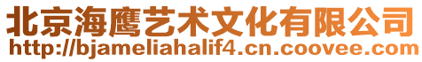 北京海鷹藝術(shù)文化有限公司