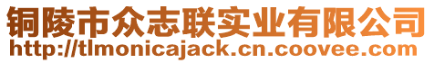 銅陵市眾志聯實業有限公司