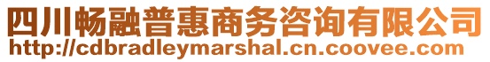 四川暢融普惠商務(wù)咨詢有限公司