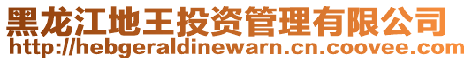 黑龍江地王投資管理有限公司