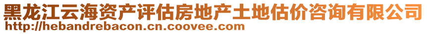 黑龍江云海資產評估房地產土地估價咨詢有限公司