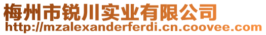 梅州市銳川實(shí)業(yè)有限公司