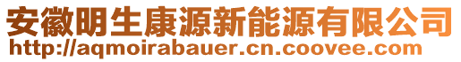 安徽明生康源新能源有限公司