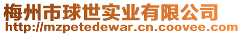 梅州市球世實(shí)業(yè)有限公司