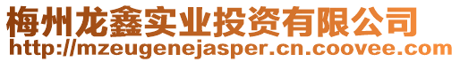 梅州龍鑫實業投資有限公司