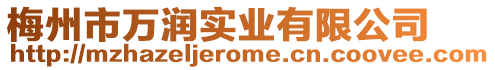 梅州市萬潤實(shí)業(yè)有限公司