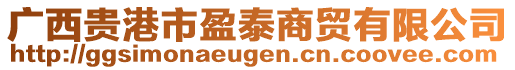 廣西貴港市盈泰商貿(mào)有限公司