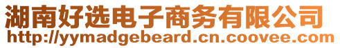 湖南好選電子商務有限公司